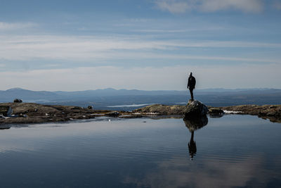 reflection