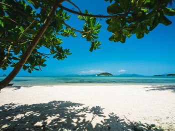 Scenic view of koh mak island white sand beach, clear turquoise water with tropical tree. thailand.