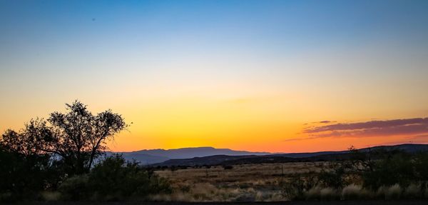 Silhouette trees on landscape against clear sky during sunset