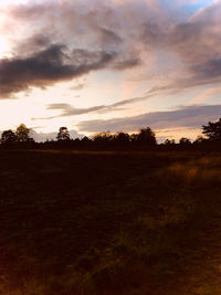 Silhouette trees on field against sky during sunset