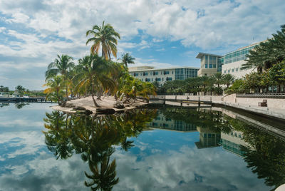 Palm trees and building in an island against sky surrounded by water