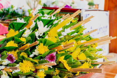 Close-up of flowering plant on table