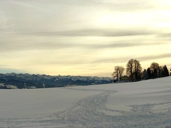 Scenic view of landscape against sky during winter