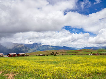 Scenic view of field against sky