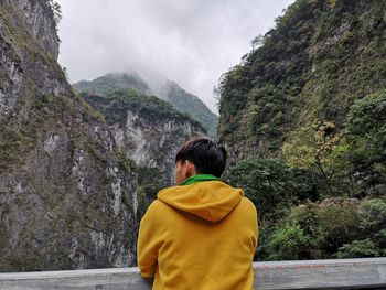 Rear view of man looking at mountains