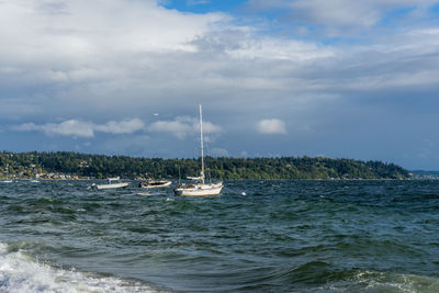 Boats bob in the wind on the puget sound.