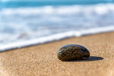 A stone on the beach with the ocean in the background