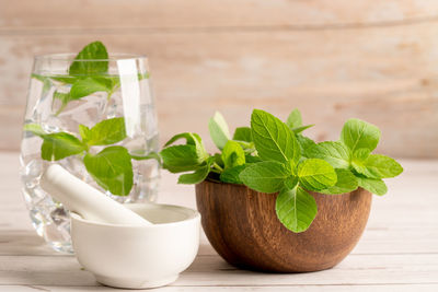 Close-up of potted plant on table