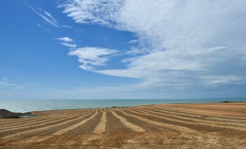 Scenic view of field against sky