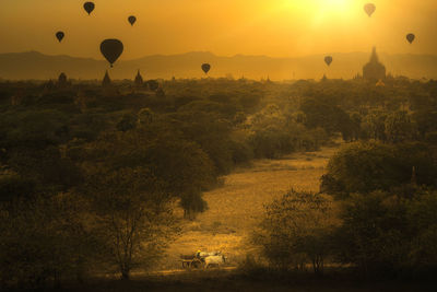 Wagon cart driver driver through many pagodas in bagan. hot air balloon myanmar.