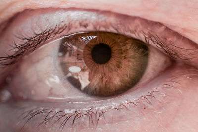 Close-up portrait of woman eye