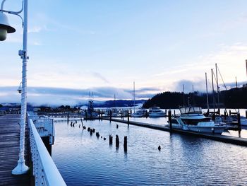 Sailboats moored at harbor against sky