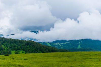 environment