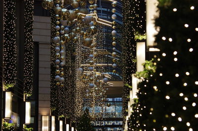 Close-up of illuminated christmas tree at night