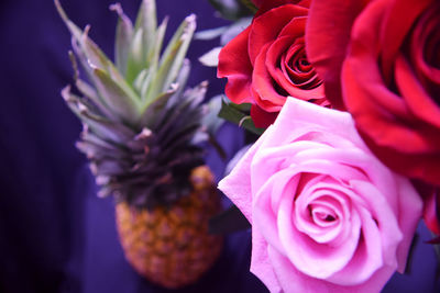 Close-up of pink rose