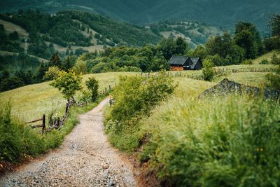 Empty dirt road amidst field against mountains in summer