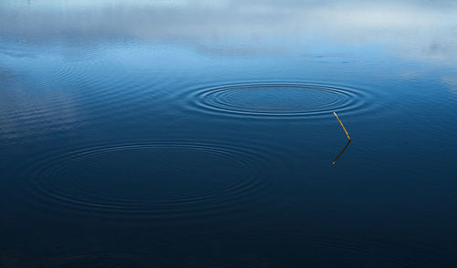 Scenic view of lake