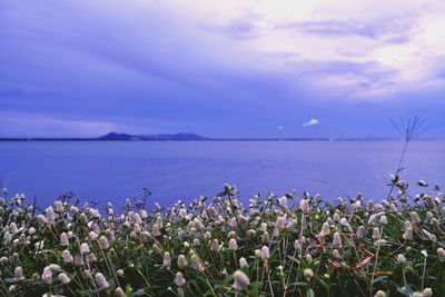 Scenic view of sea against blue sky