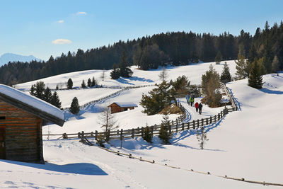 Snow covered field