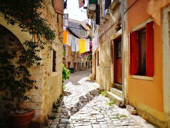 Alley amidst houses