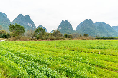 Mountains and farmland in guilin, guangxi province, china