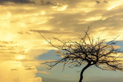 Low angle view of silhouette bare tree against sky during sunset