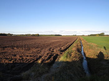 Scenic view of agricultural field against clear sky
