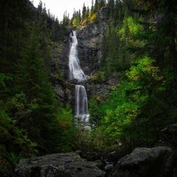 Waterfall in forest