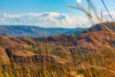 Scenic view of landscape against sky