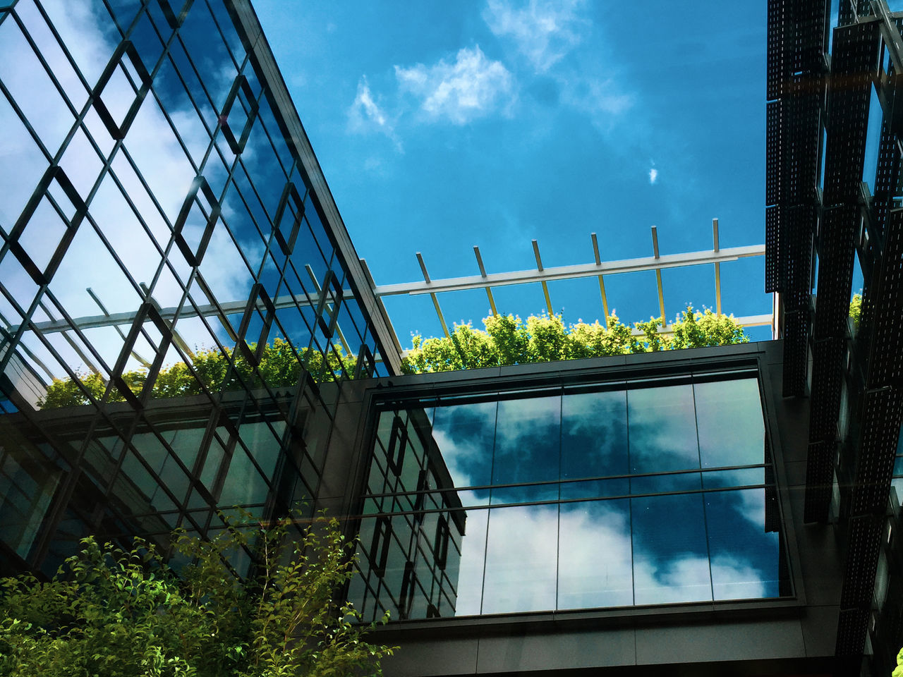 LOW ANGLE VIEW OF GLASS WINDOW AGAINST SKY