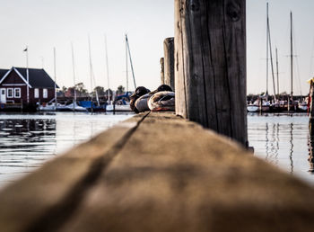 Boats in harbor