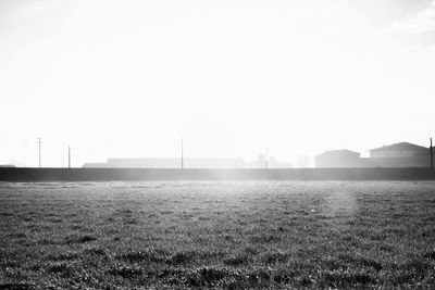 Scenic view of agricultural field against clear sky