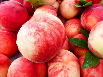 Full frame shot of fruits for sale at market stall