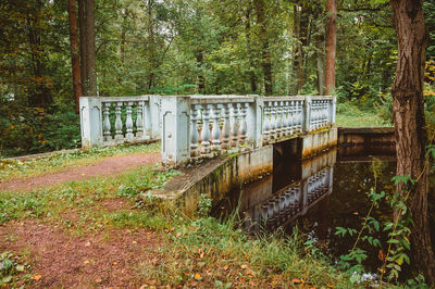 View of bridge in forest