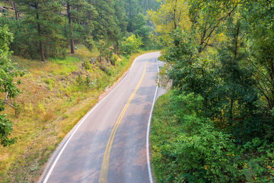 Road amidst trees in forest