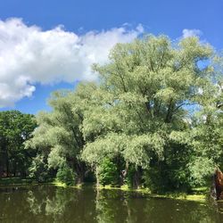 Reflection of trees in lake against sky