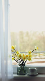 Close-up of white flower vase on table against window