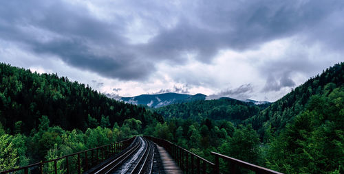 Railroad tracks amidst trees against sky