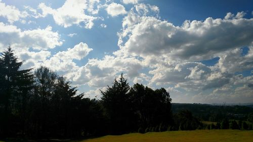 Trees on landscape against sky