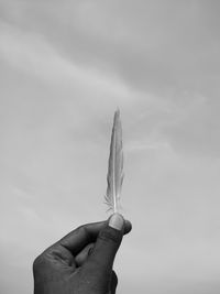 Close-up of hand holding flower against sky