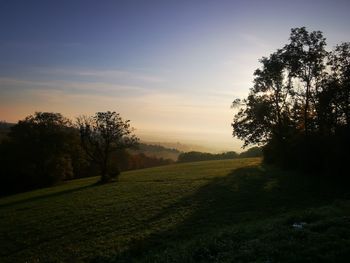 Trees on field against sky during sunset