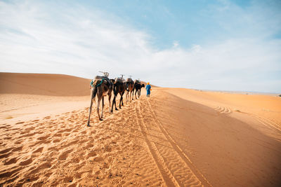 People walking on sand dune in desert against sky