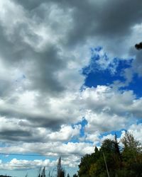 Low angle view of trees against sky