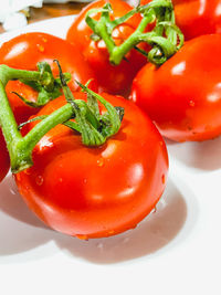 High angle view of tomatoes in plate on table