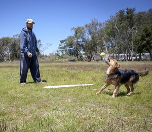 Man with dog on field against clear sky