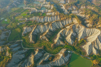 High angle view of trees