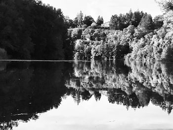 Reflection of trees in lake against sky