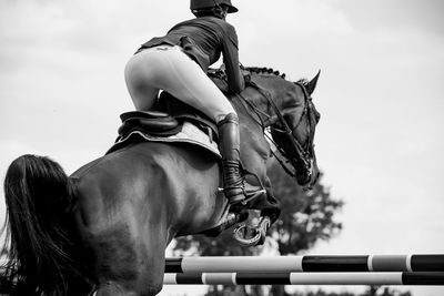 Horse jumping, equestrian sports, show jumping competition themed photograph.