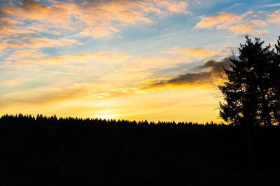 Silhouette trees on field against sky during sunset