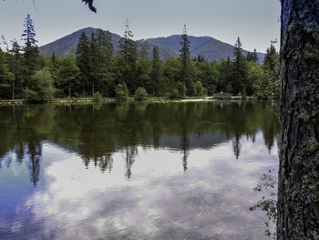 Scenic view of lake in forest against sky